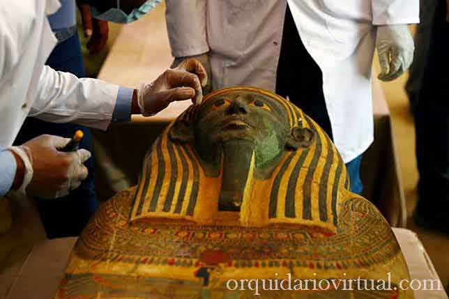 Egypt ทางเจ้าหน้าที่อียิปต์ ได้ประกาศการค้นพบโลงศพโบราณอย่างน้อยกว่า 100 ชิ้นบางส่วนมีมัมมี่อยู่ภายในและรูปปั้นปิดทองอีก 40